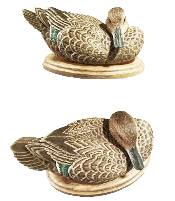 Green Wing Teal Hen